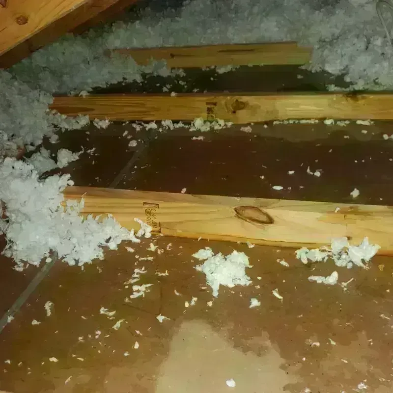 Attic Water Damage in MacArthur, WV