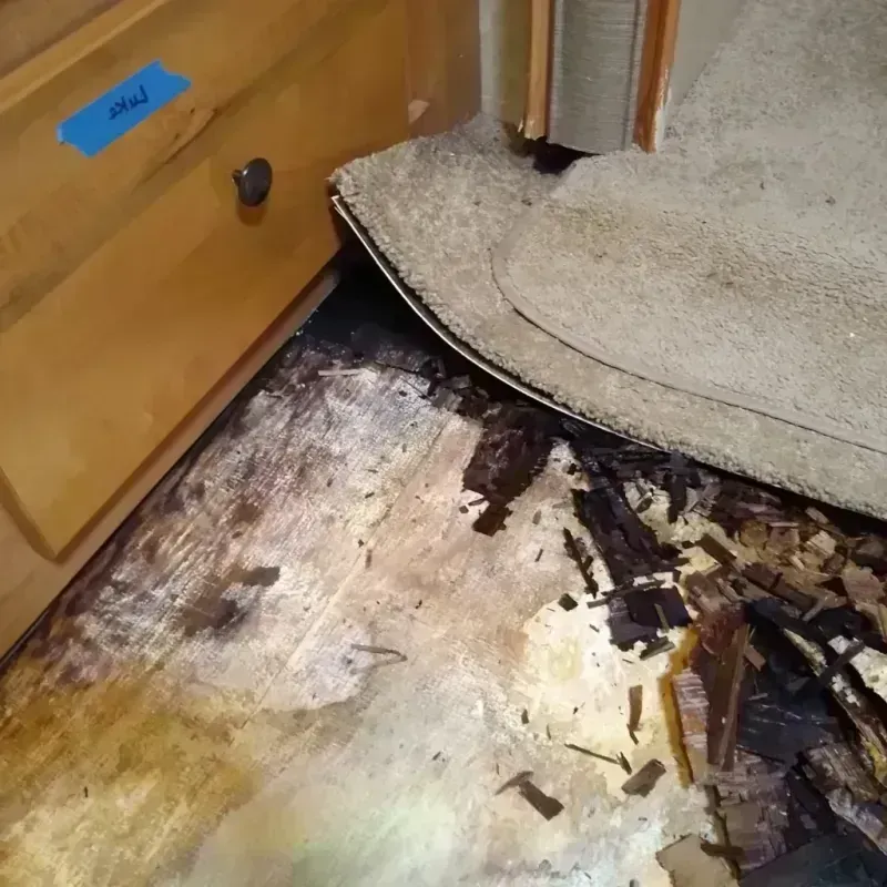 Wood Floor Water Damage in MacArthur, WV